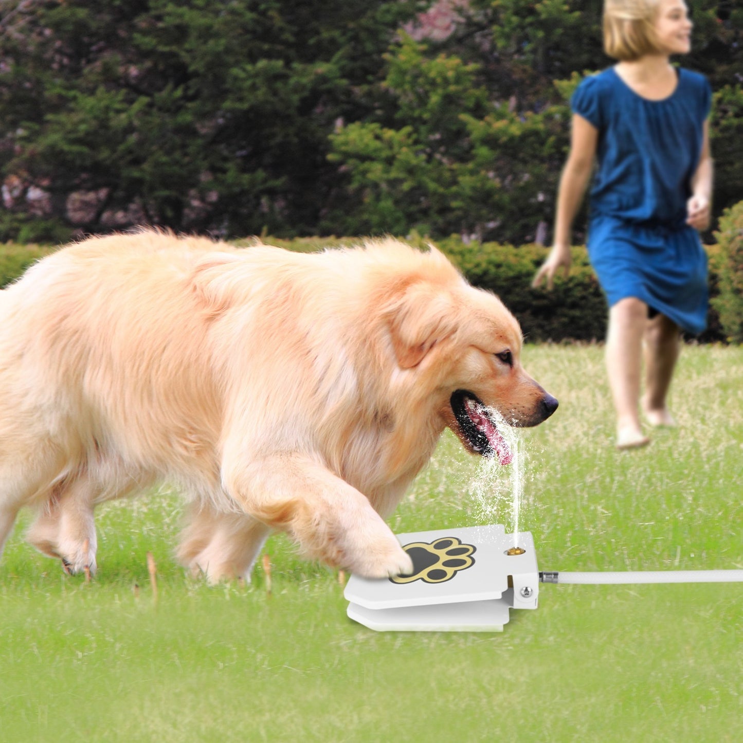 1Pc Dog Water Fountain Outdoor Dog Pet Water Dispenser Step-on Activated Sprinkler With Interactive Paw Pedal Valve For Drinking Water